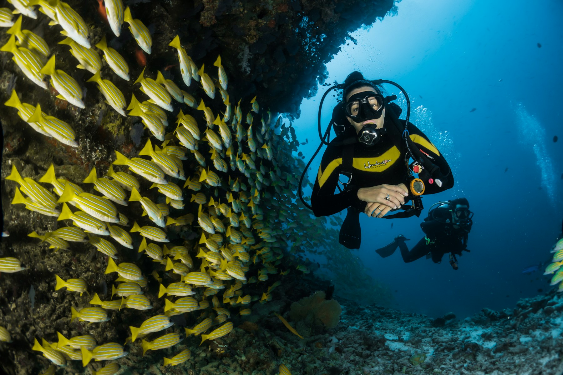 Buceo en aguas del Caribe